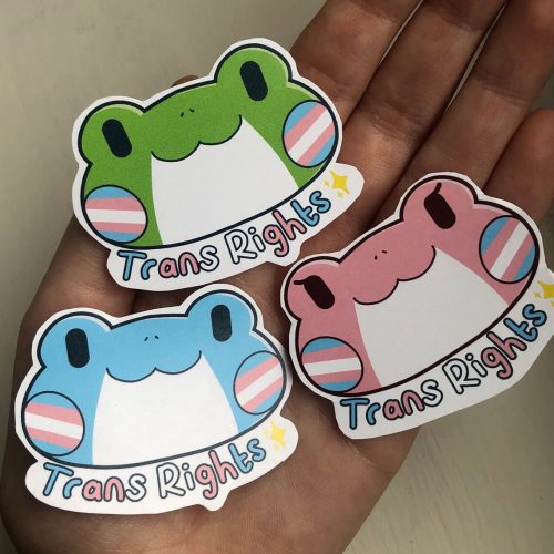 Trans rights pride frog sticker